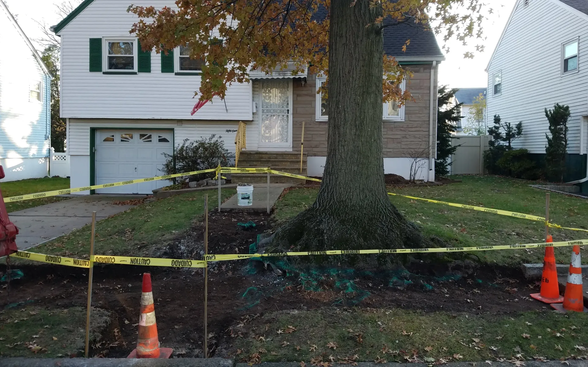 Concrete sidewalk construction around tree roots, before image by Micciche Construction.