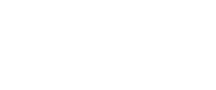 logo Palla Boutique Hotel