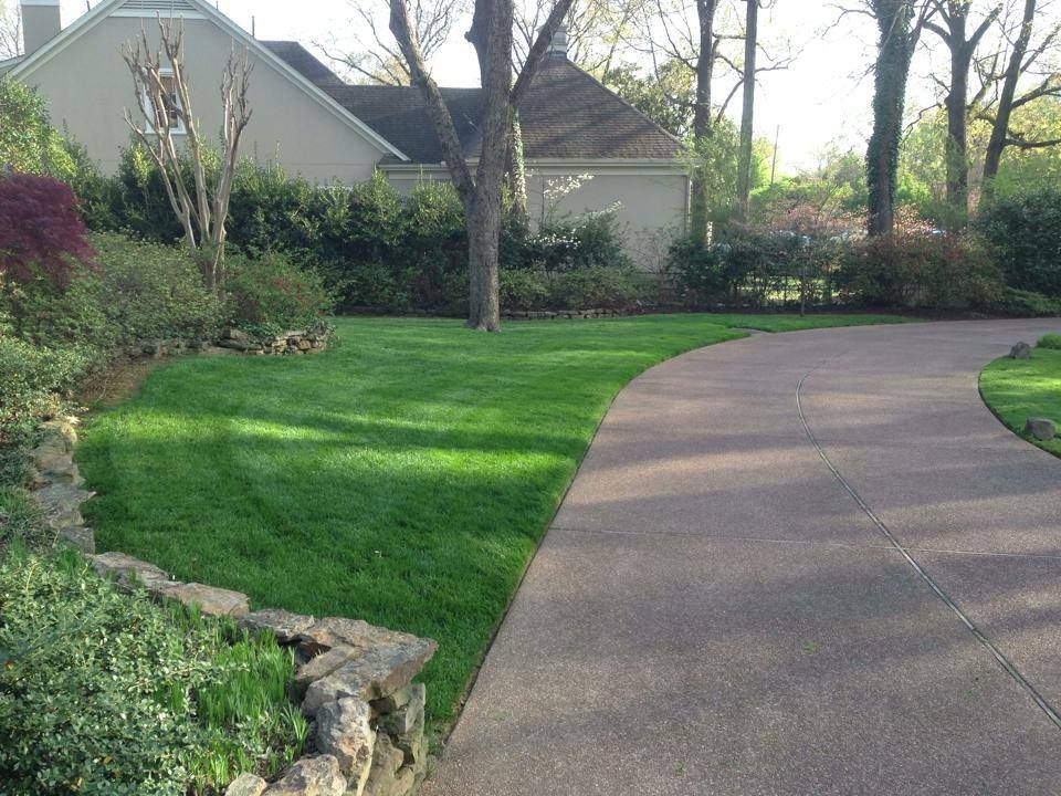 A driveway leading to a house with a lush green lawn