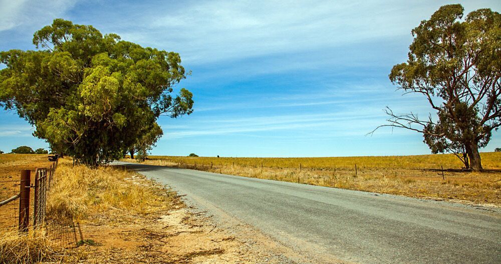 There Are Two Trees On The Side Of The Road — PalmAir Heating & Cooling Specialists In Narrandera, NSW