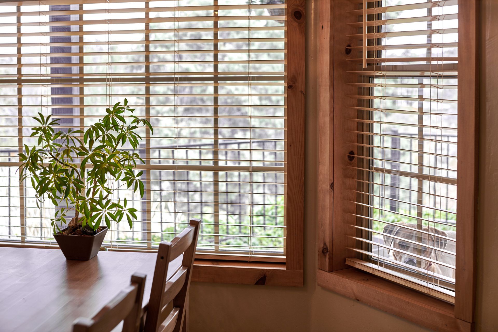 Open wood blinds next to a dining table