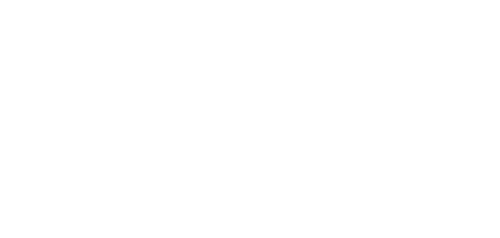 AWN Safety Products Inc logo