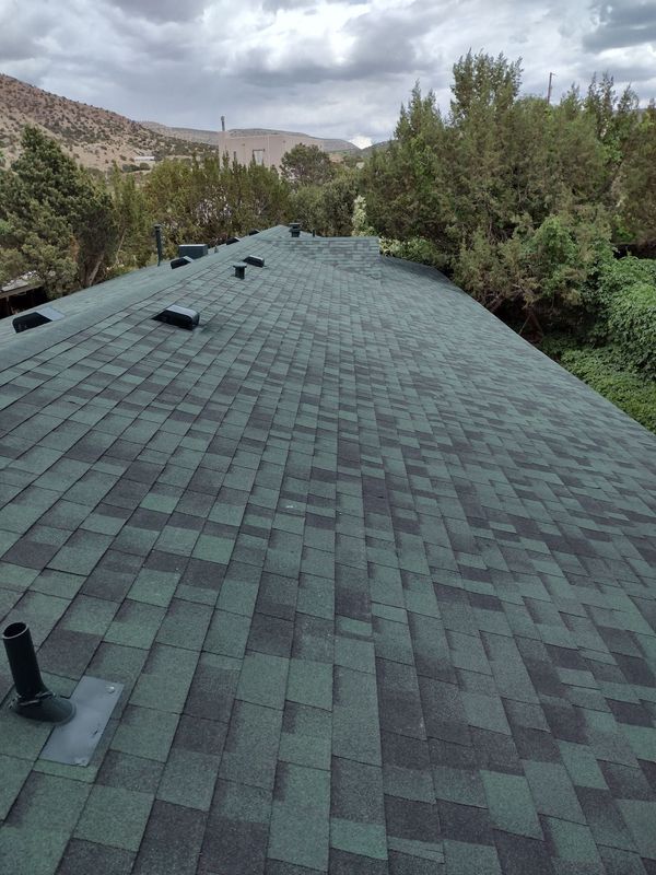 Green shingled roof with multiple vent pipes, cloudy sky, trees, and mountains in background.