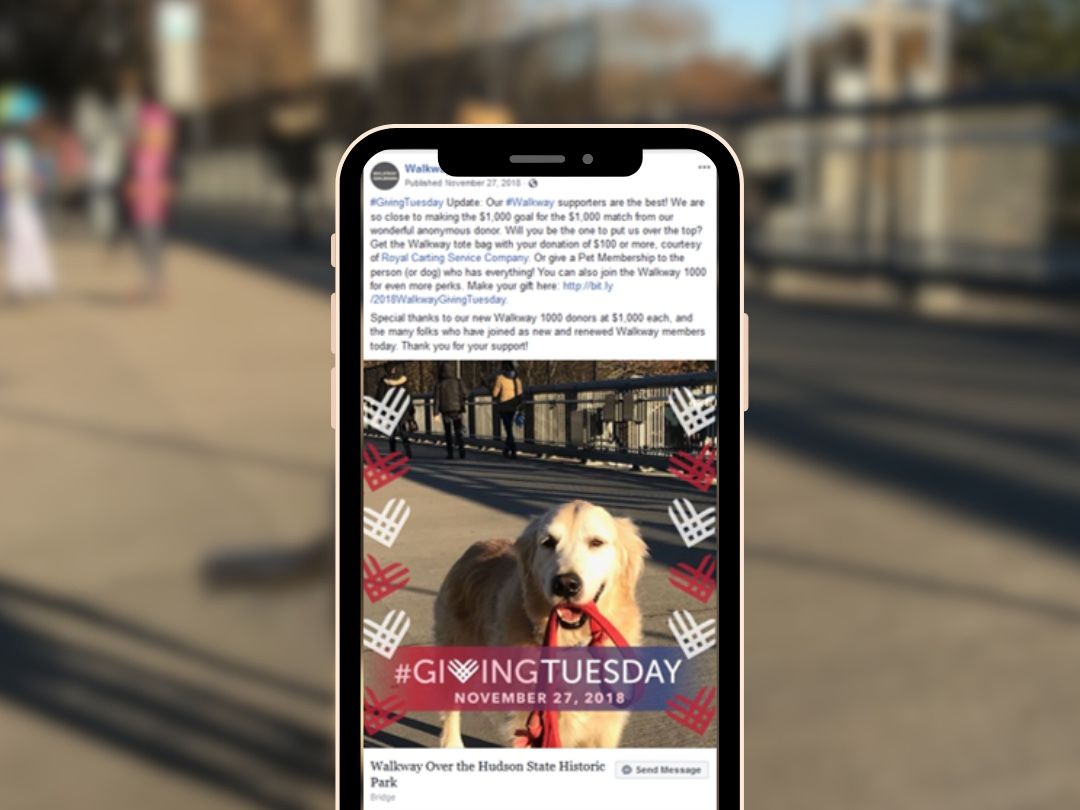 Smartphone with a Facebook post featuring a golden retriever with a red leash; #GivingTuesday campaign.
