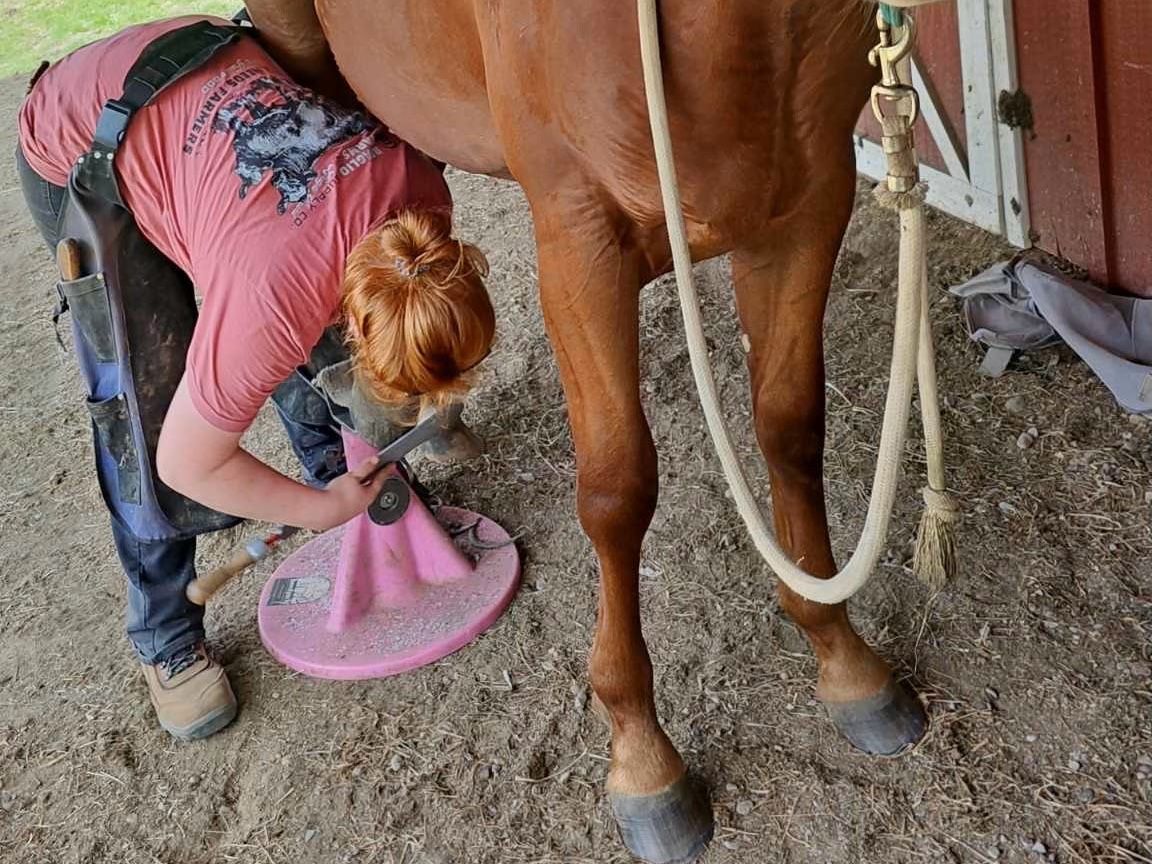 A farrier trimming a horse's hoof near a barn. A pink hoof stand is on the ground.