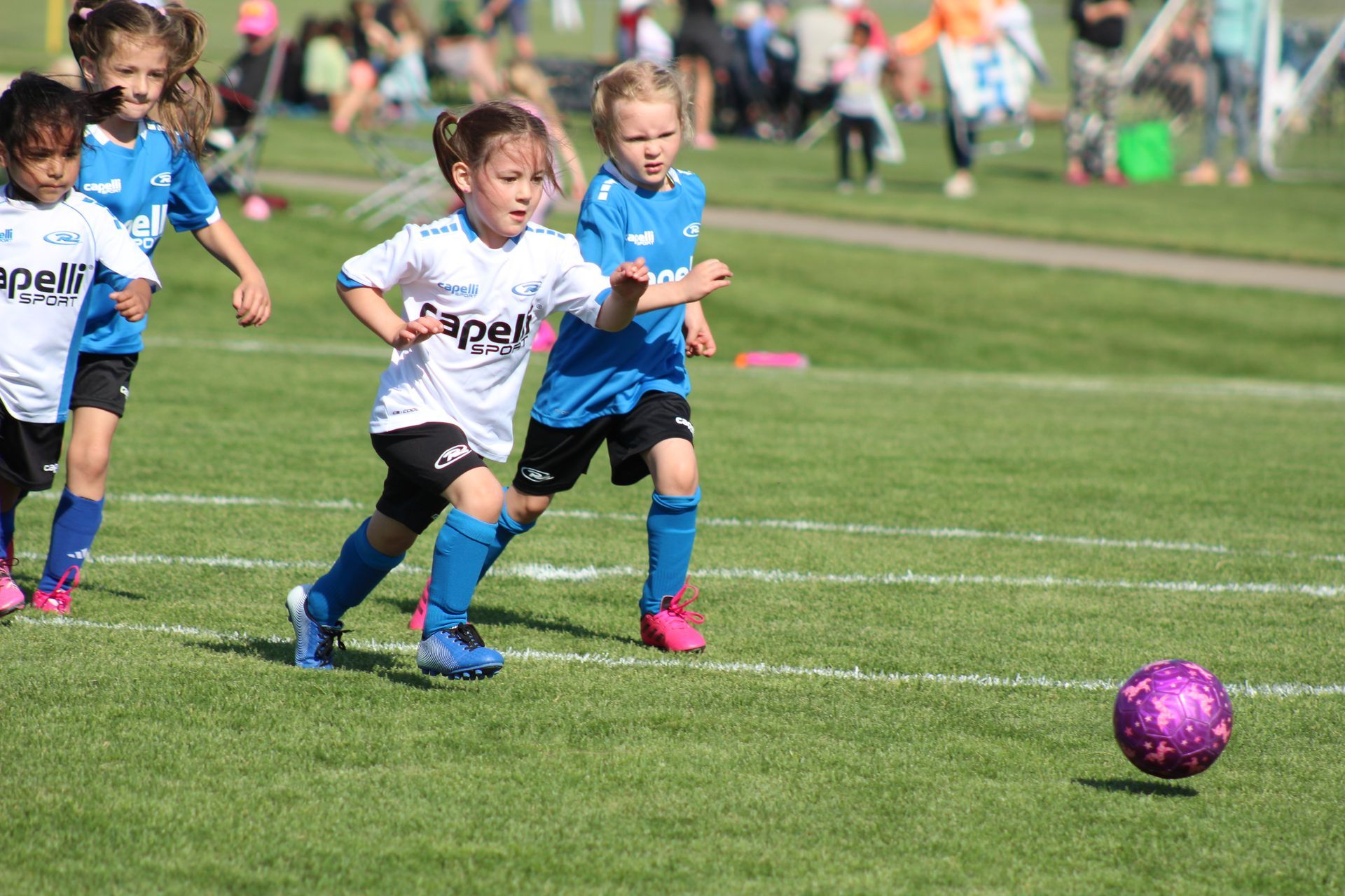 Children playing soccer on a grassy field, chasing a purple ball in blue and white uniforms