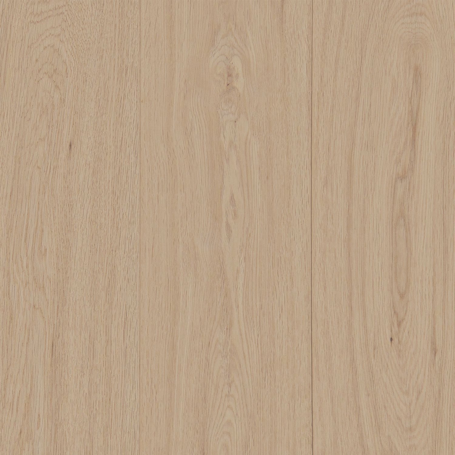 Engineered TerraMater invisible