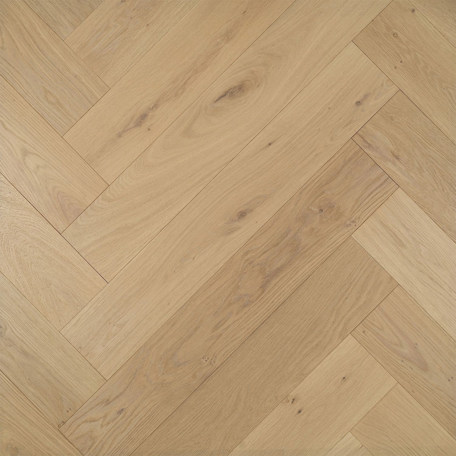 Dove Grey Colour