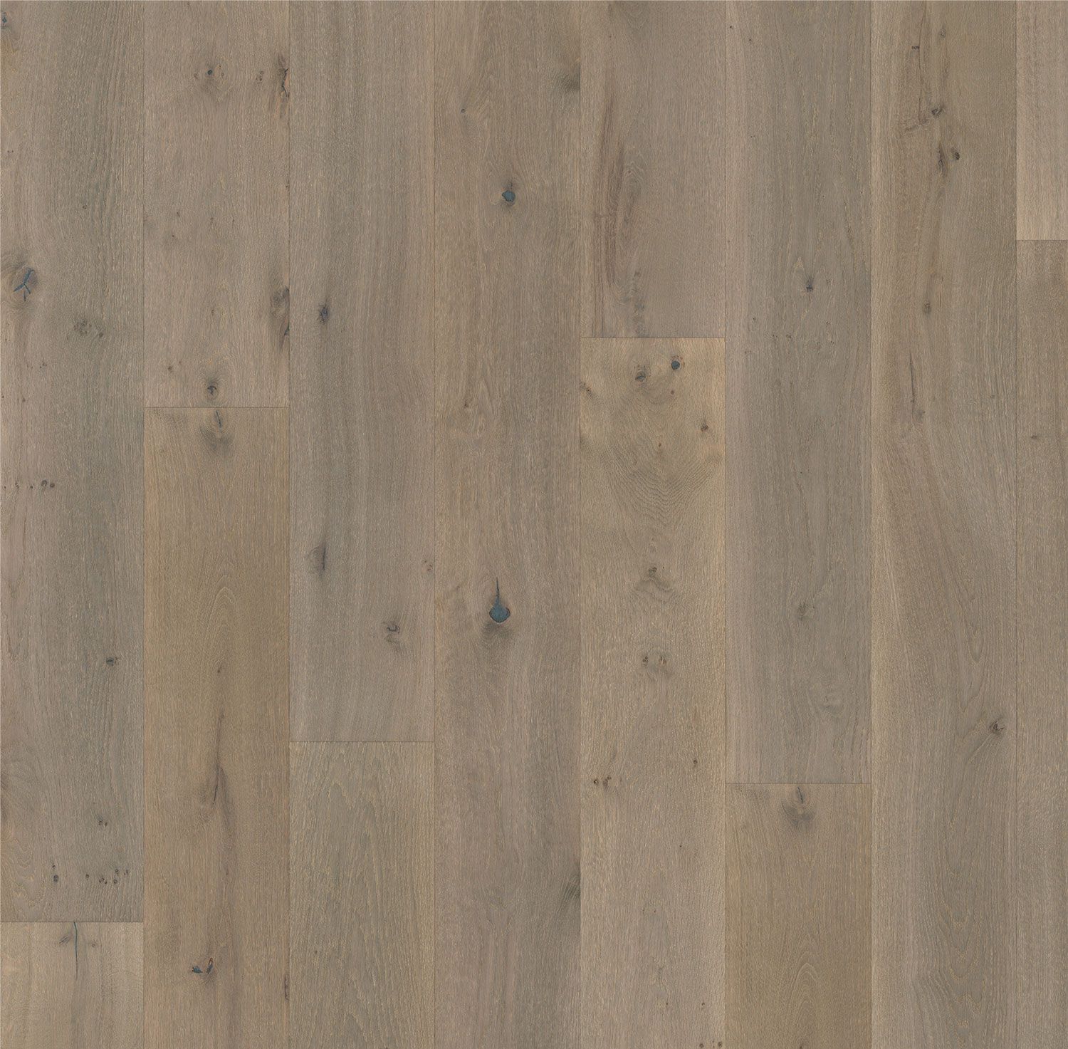 Engineered Oak - Ash colour