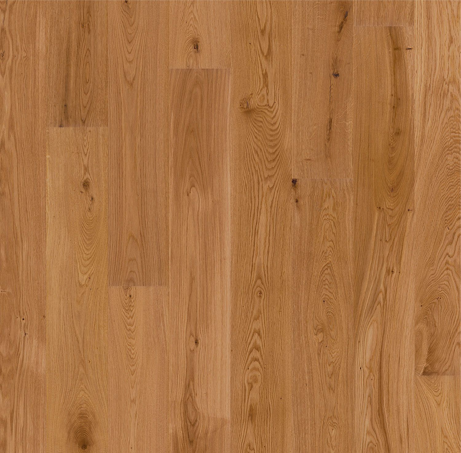 Beeline Honey colour