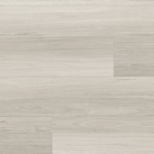 Dapple Grey Colour
