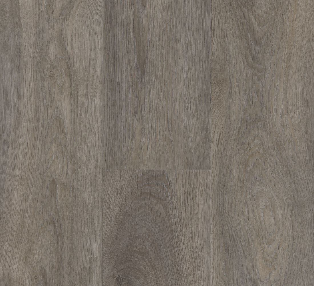 Elegant Dark Grey