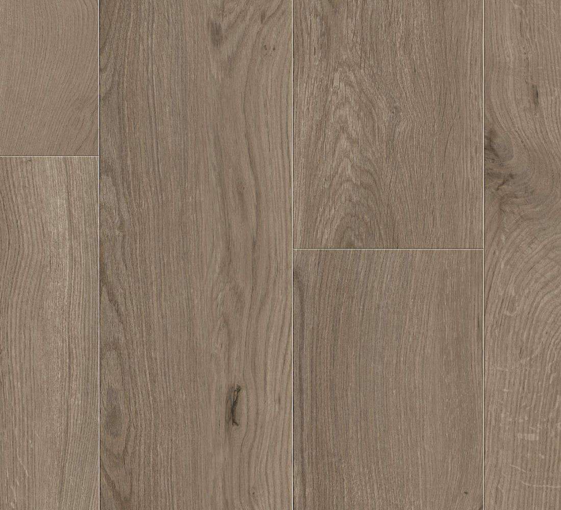 Gyant XL Dark Brown