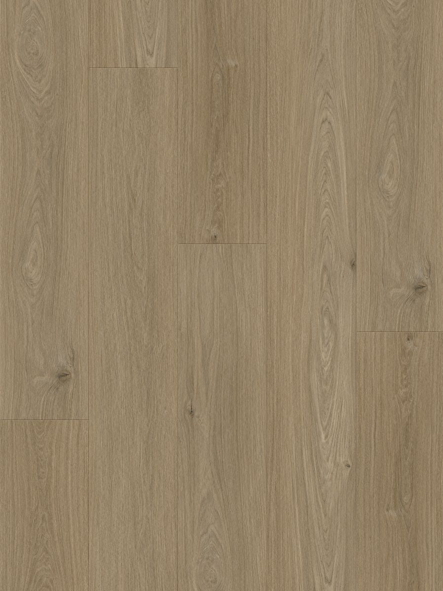 Sapia Clay