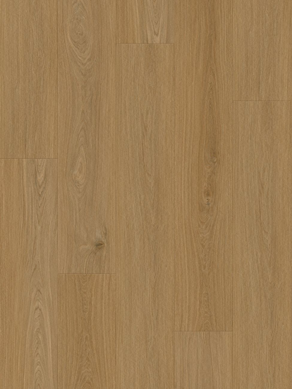 Paris Tan