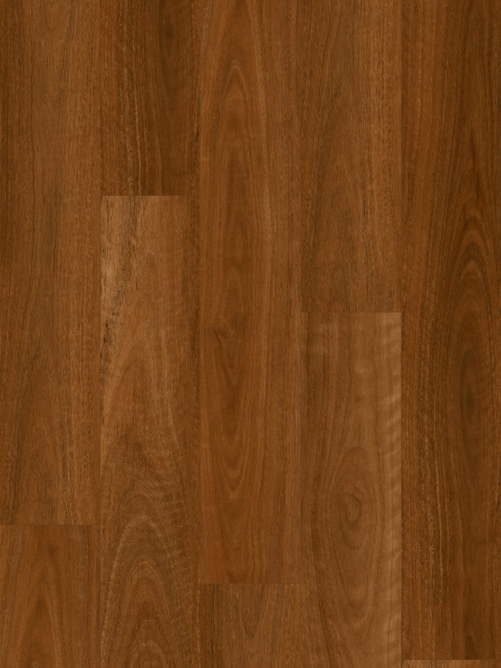 Australian Spotted Gum