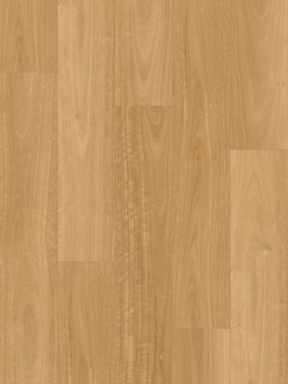 Australian Blackbutt
