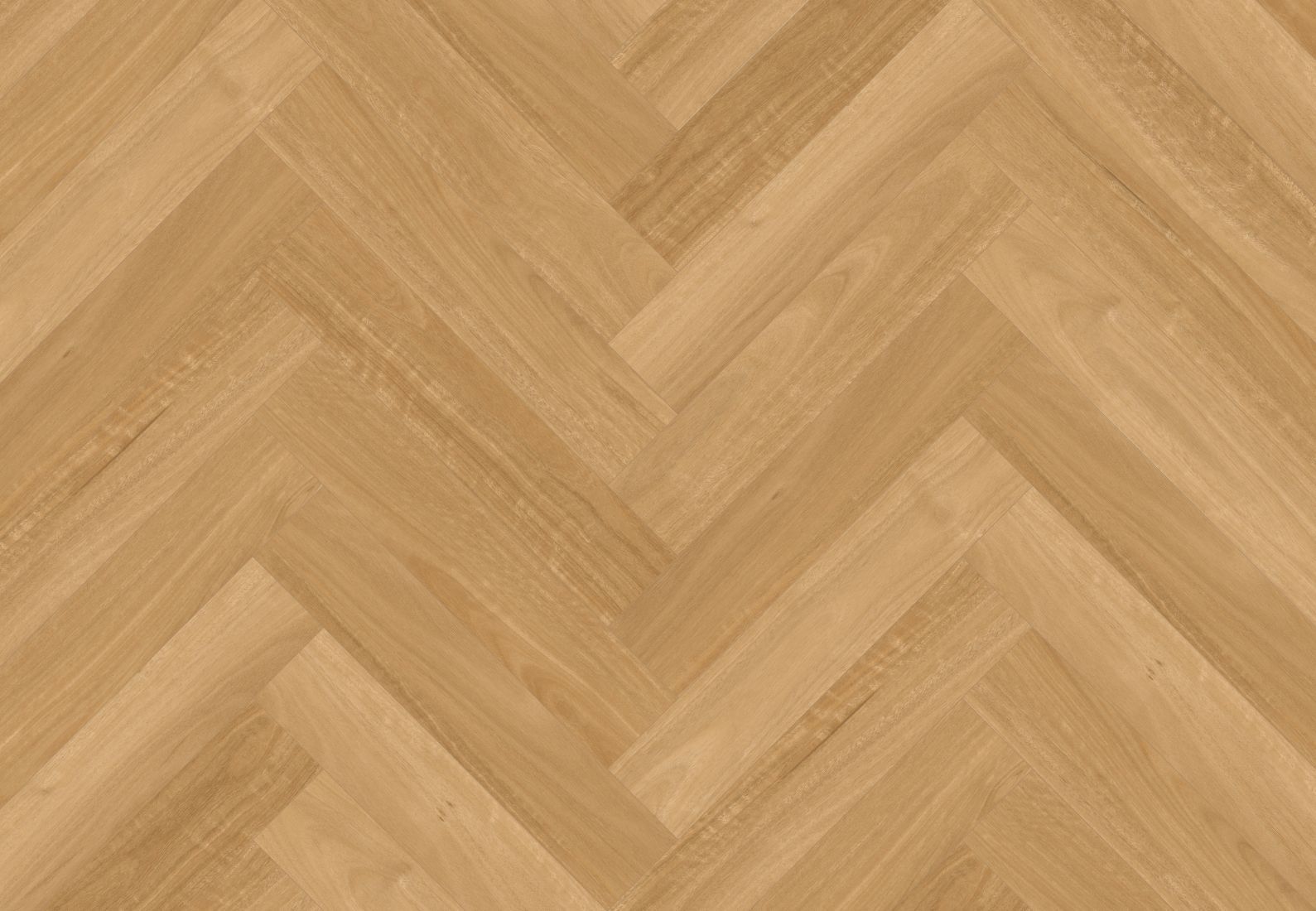 Australian Blackbutt