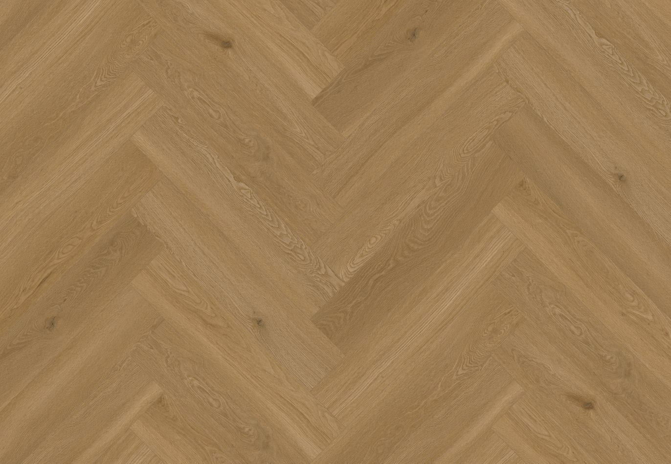 Canvas Tan