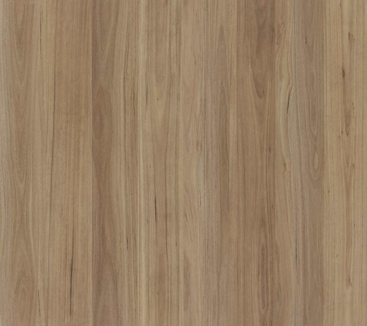 Blackbutt Hybrid Flooring