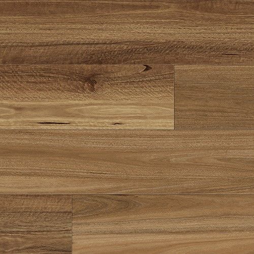 NSW Spotted Gum Colour