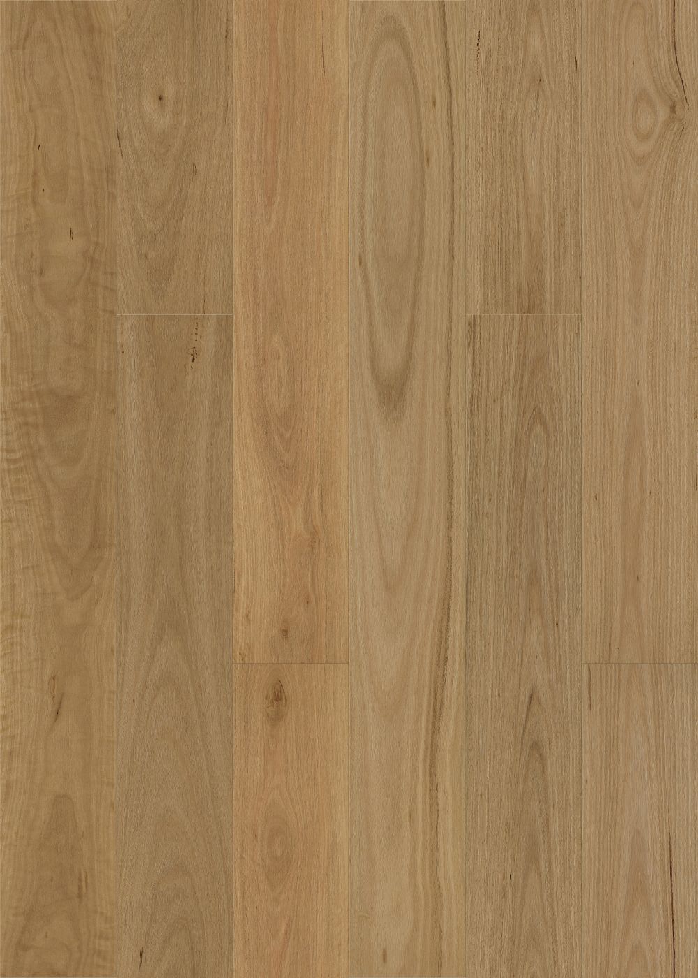Brushed Blackbutt