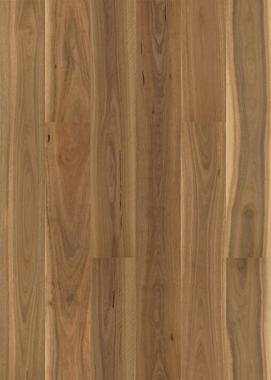 Brushed Spotted Gum