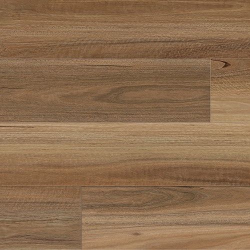 Northern Spotted Gum Floating Timber