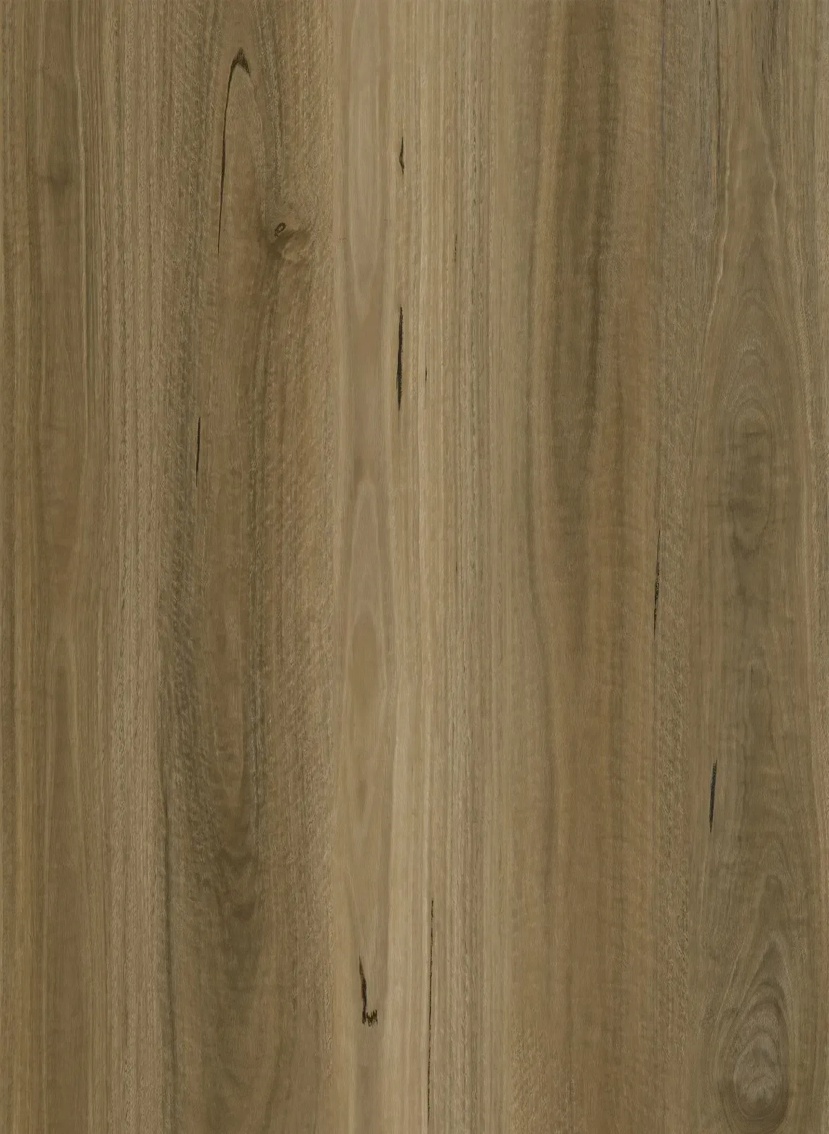 Raw Spotted Gum