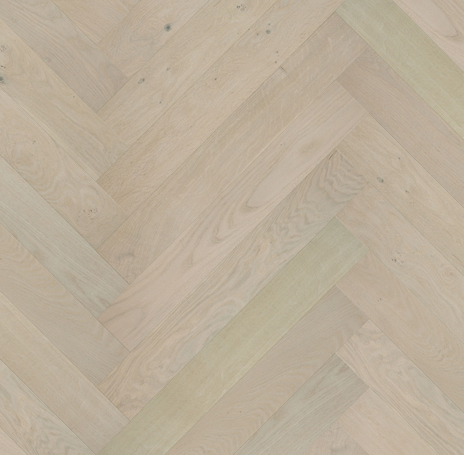 Engineered Oak adore blonde