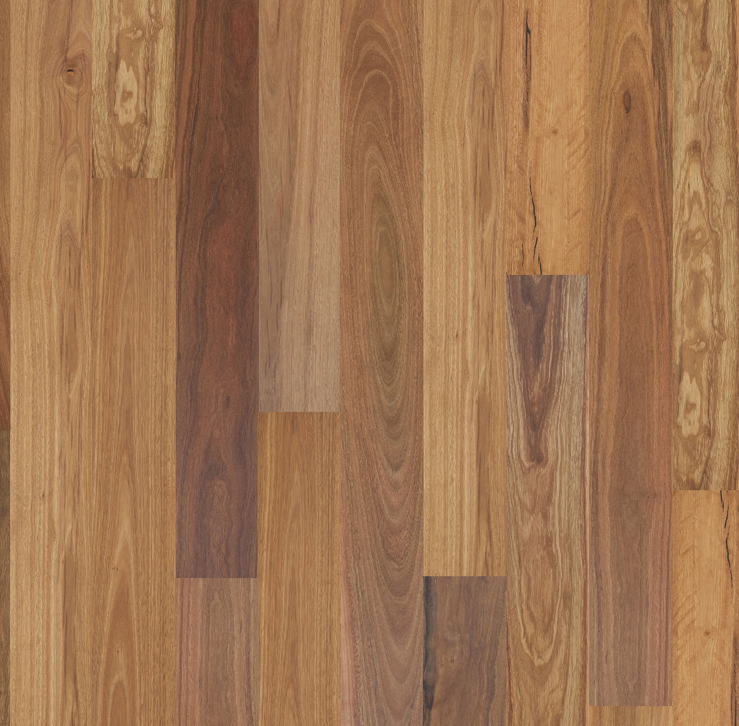 Floor Art spotted gum general