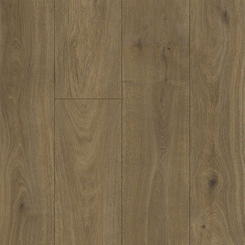 Grand Majestic AC6 - Etna Brown