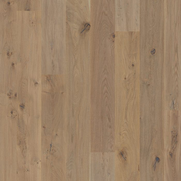 Floor Art rhodes