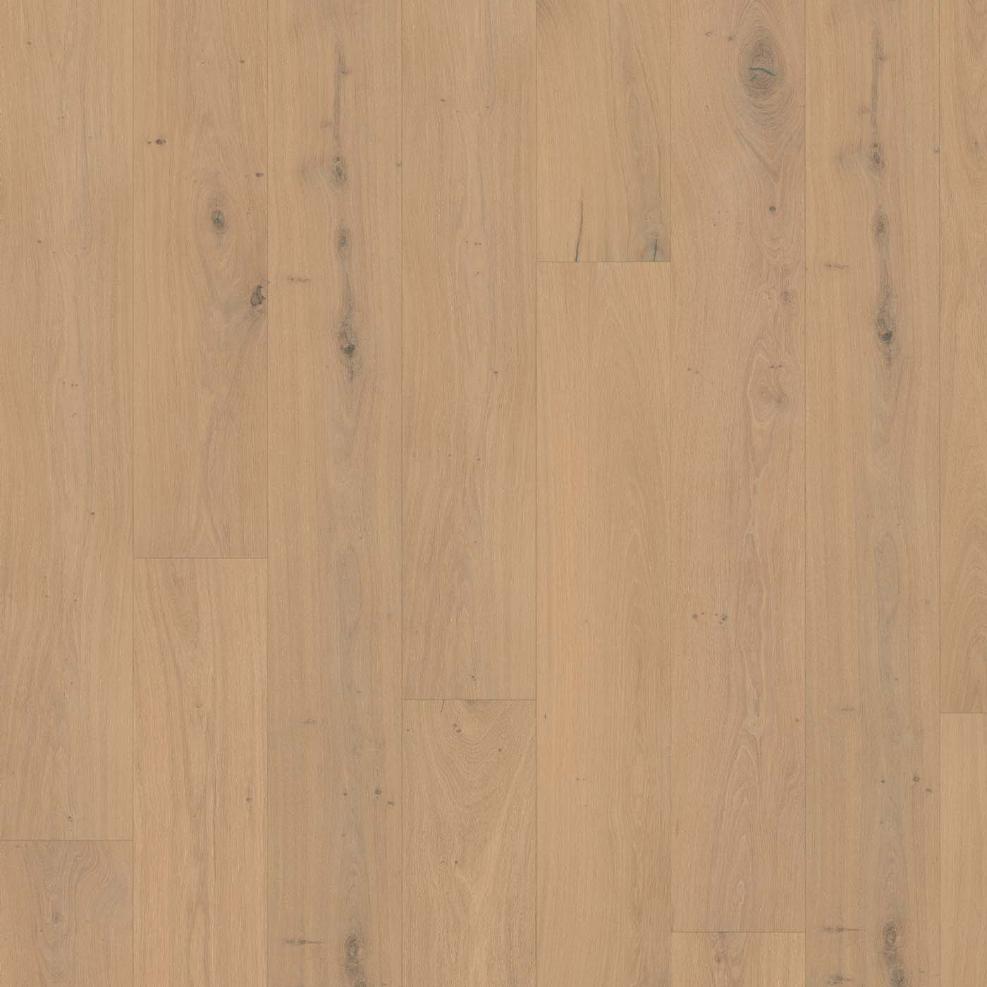 Floor Art seline