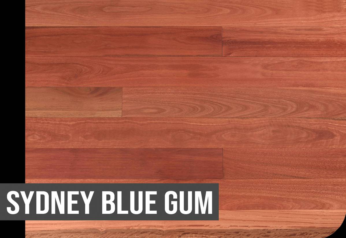 Sydney Blue Gum - Timber Flooring
