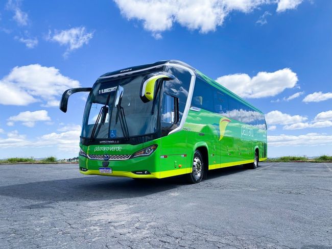 Um ônibus verde da Pássaro Verde na lateral, estacionado.