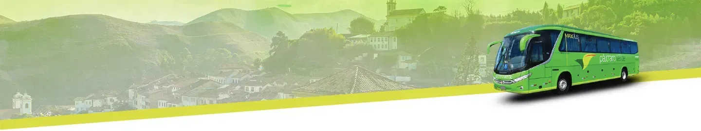 Uma estrada atravessando uma floresta com montanhas ao fundo.