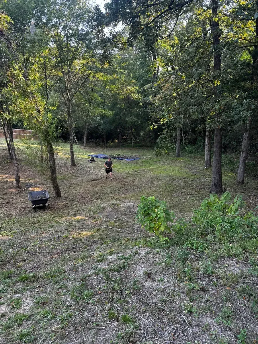 A person is standing in the middle of a field surrounded by trees.