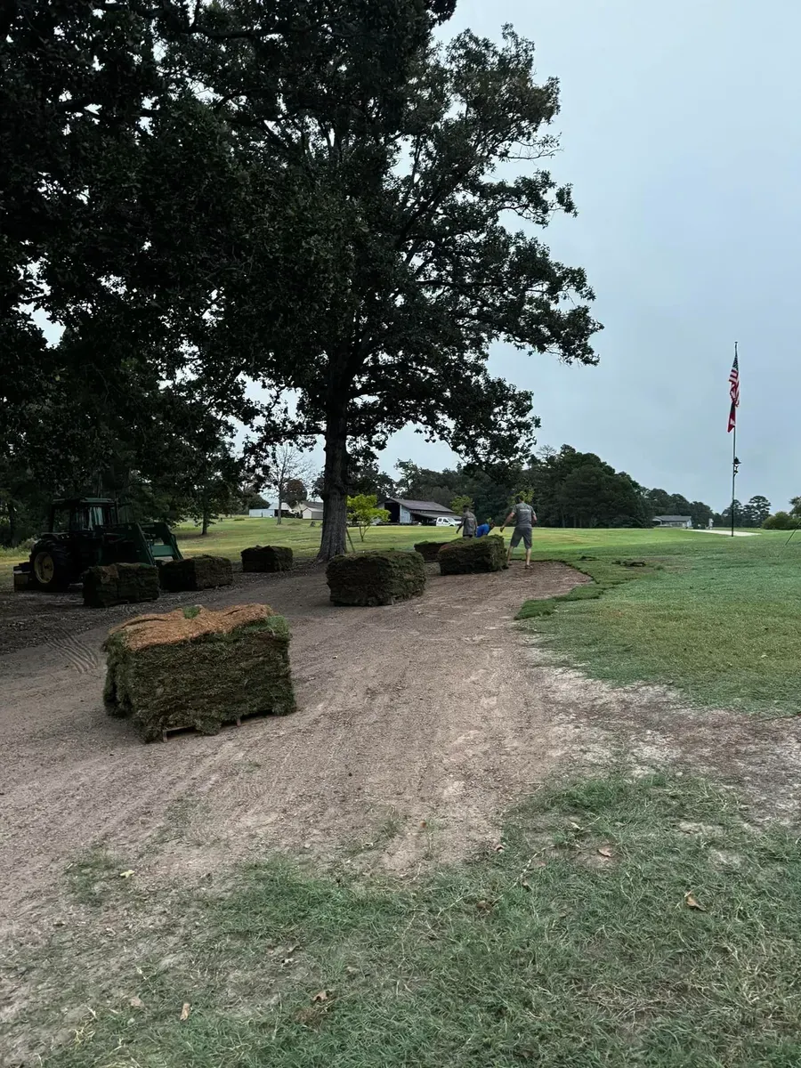 A bunch of hay bales are sitting on the ground in a field.