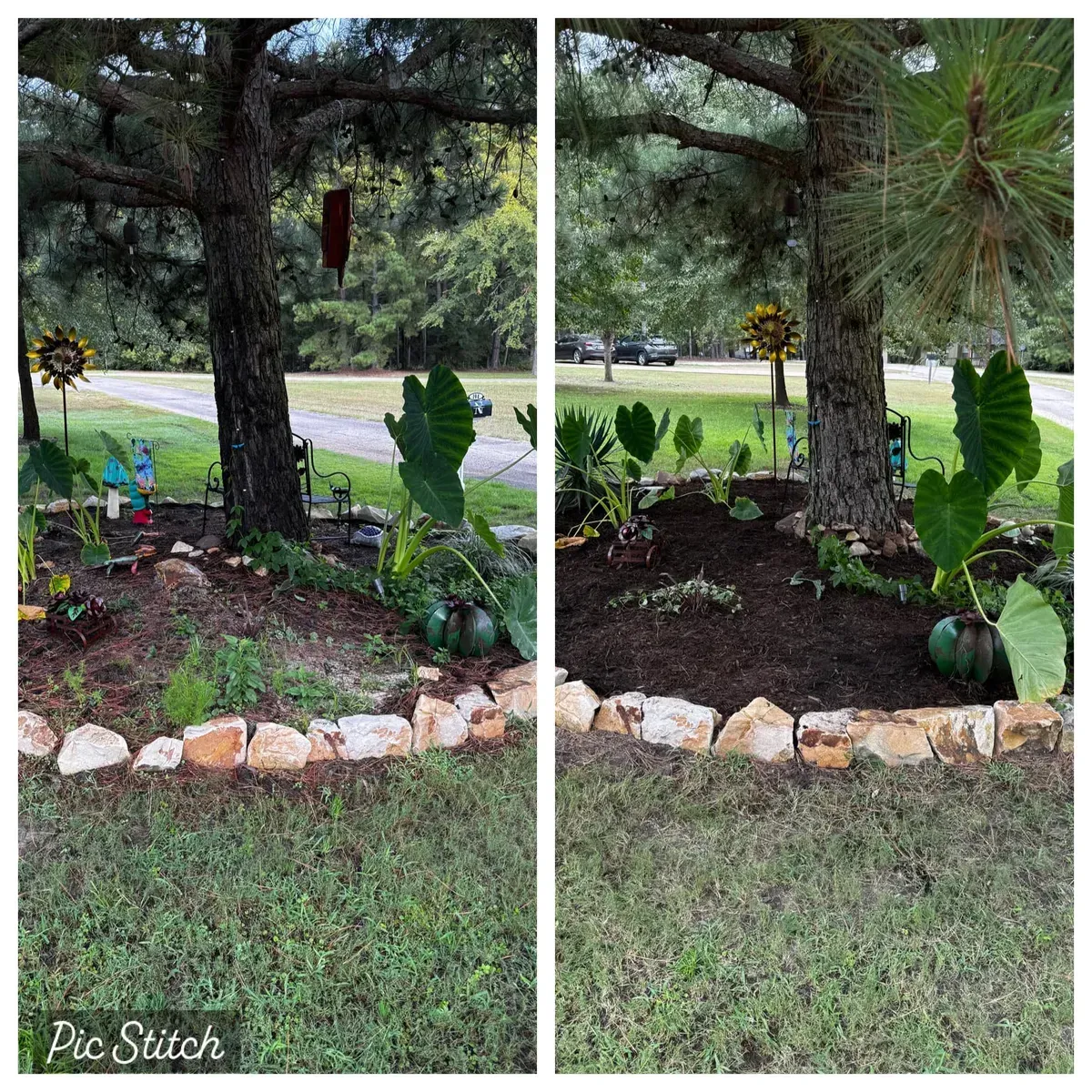 A before and after picture of a garden with trees and rocks.