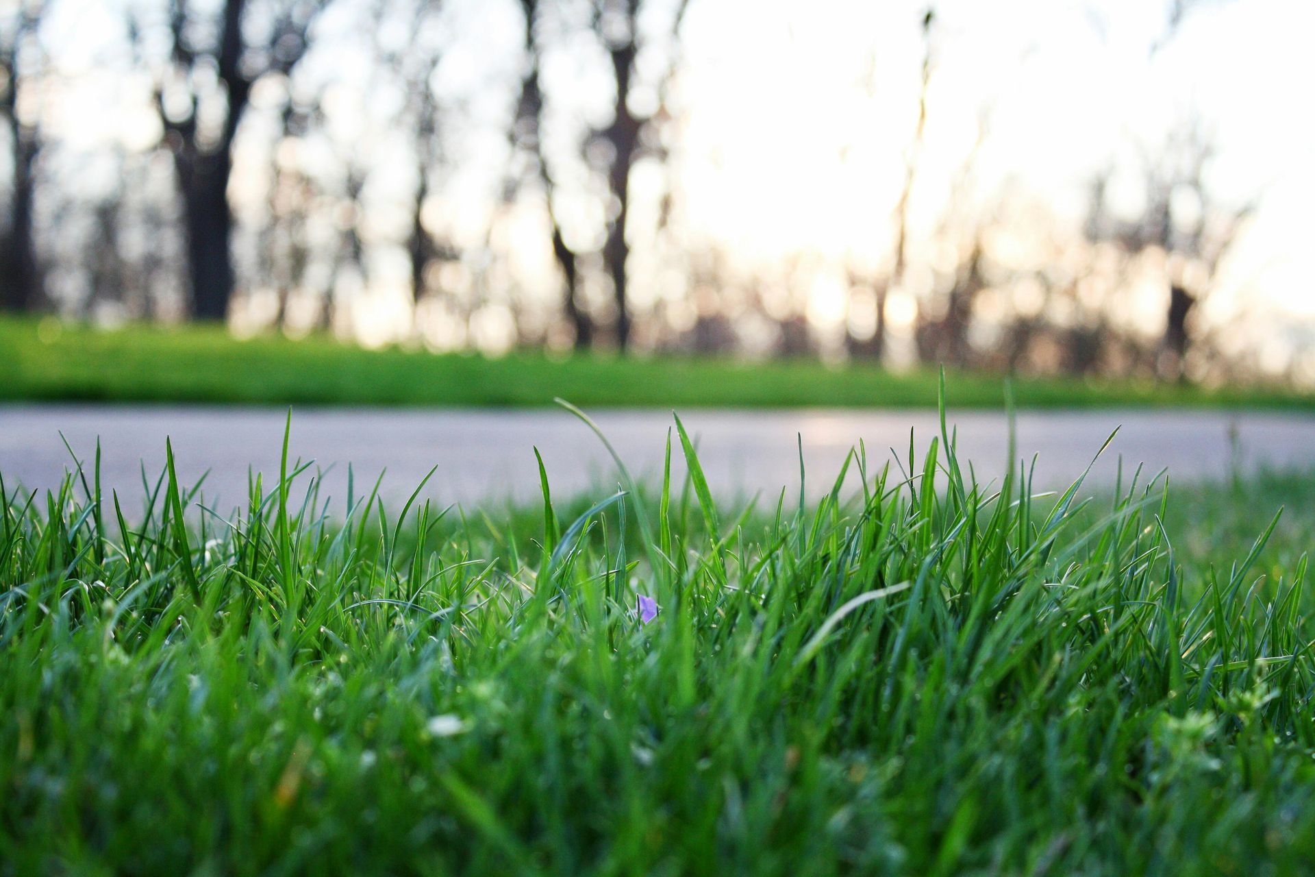 A white house with a lush green yard in front of it.