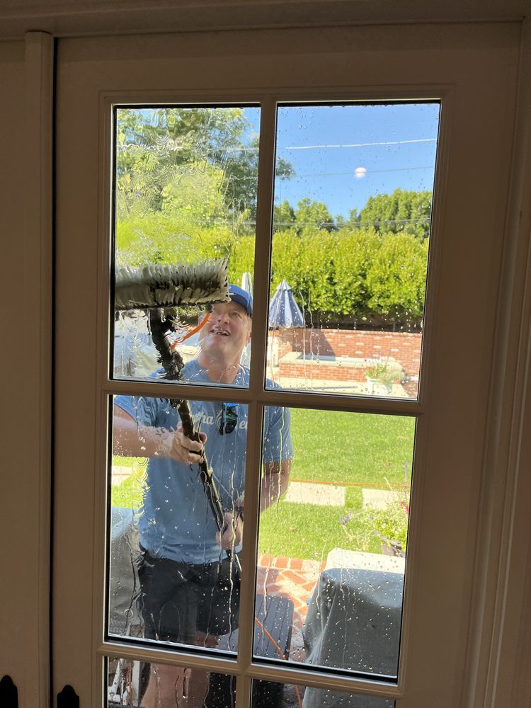 Person cleaning a window with a squeegee, looking in from a bright backyard.