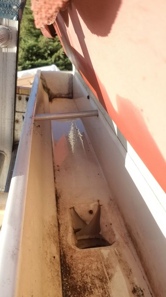 Narrow rooftop gutter beside a peach wall, filled with debris and a small bird perched inside.