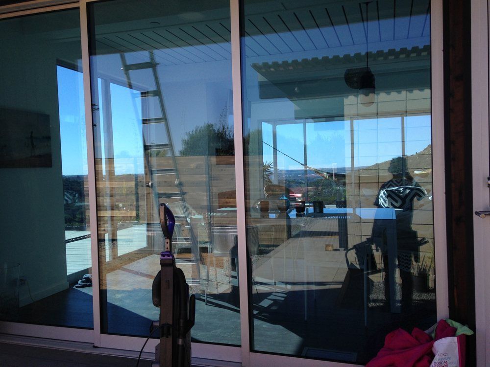 Storefront glass door reflecting a person, with a small dog standing in front and a pink plant pot nearby