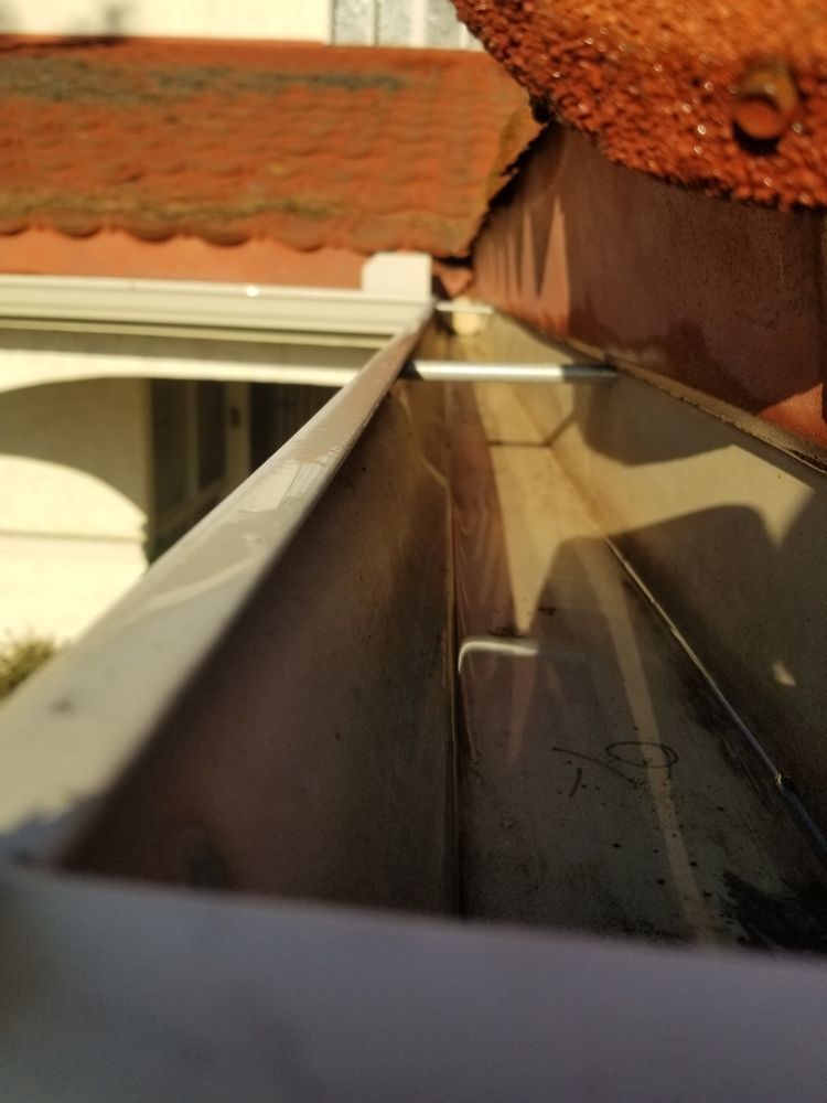 Gutter under roof edge with debris and warm sunlight, viewed from close range
