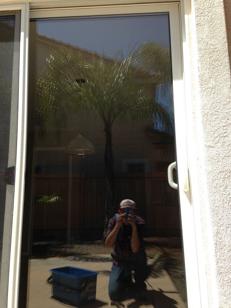 Person taking a mirror selfie in a glass door, with a palm tree reflected behind them.