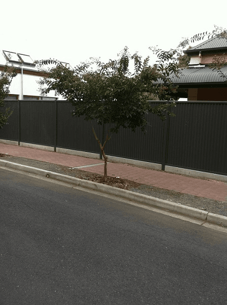 A tree next to a fence | Roseworthy, SA | Bazza's Fencing