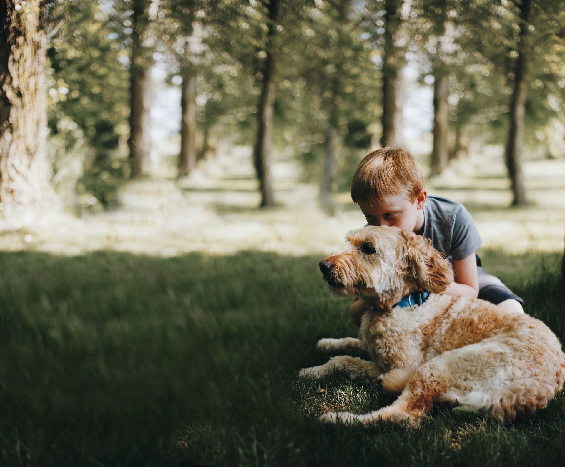 A young boy is kneeling down next to a dog in the grass