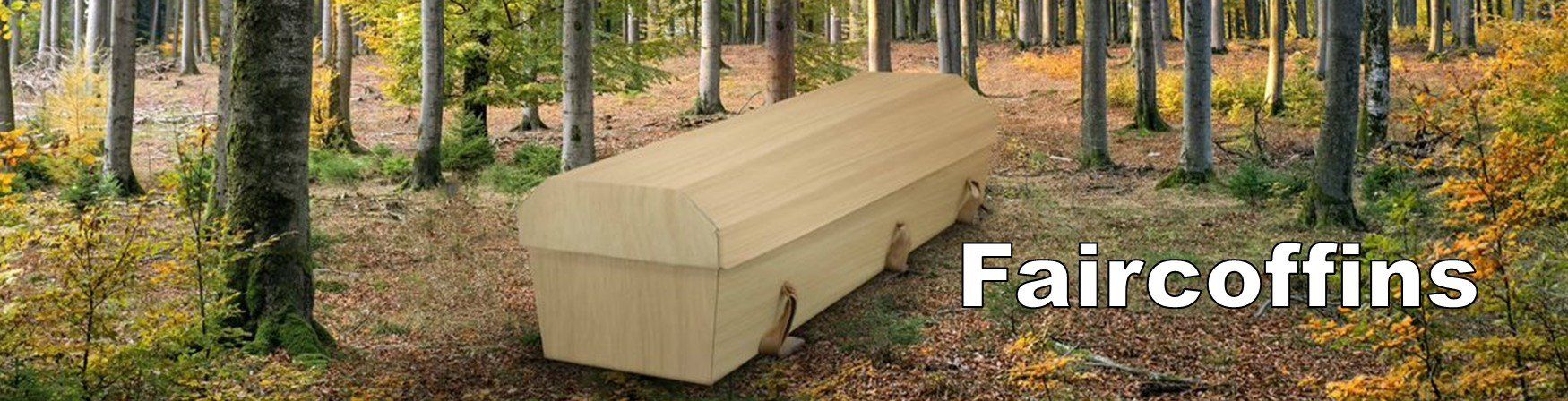 Naar de website van Faircoffins Faircoffins werkt samen met Phoenix Urnen