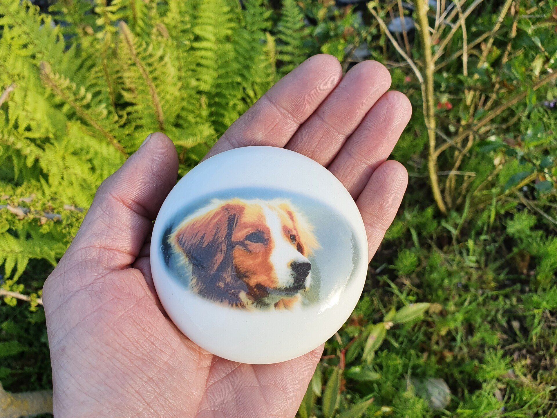 mini urnschaal hond